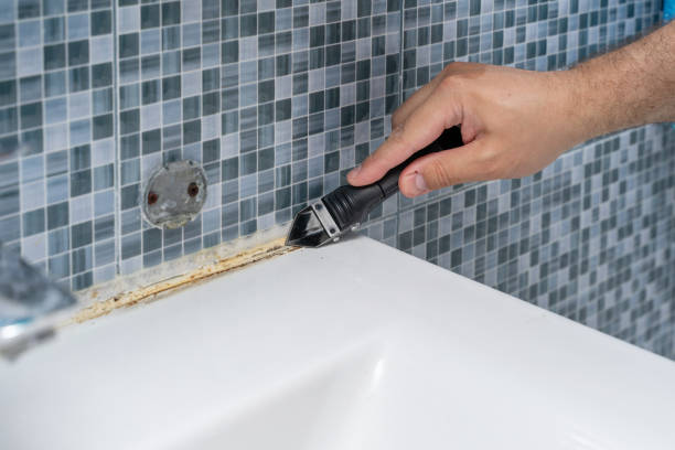 Best Certified Mold Removal  in South Haven, IN